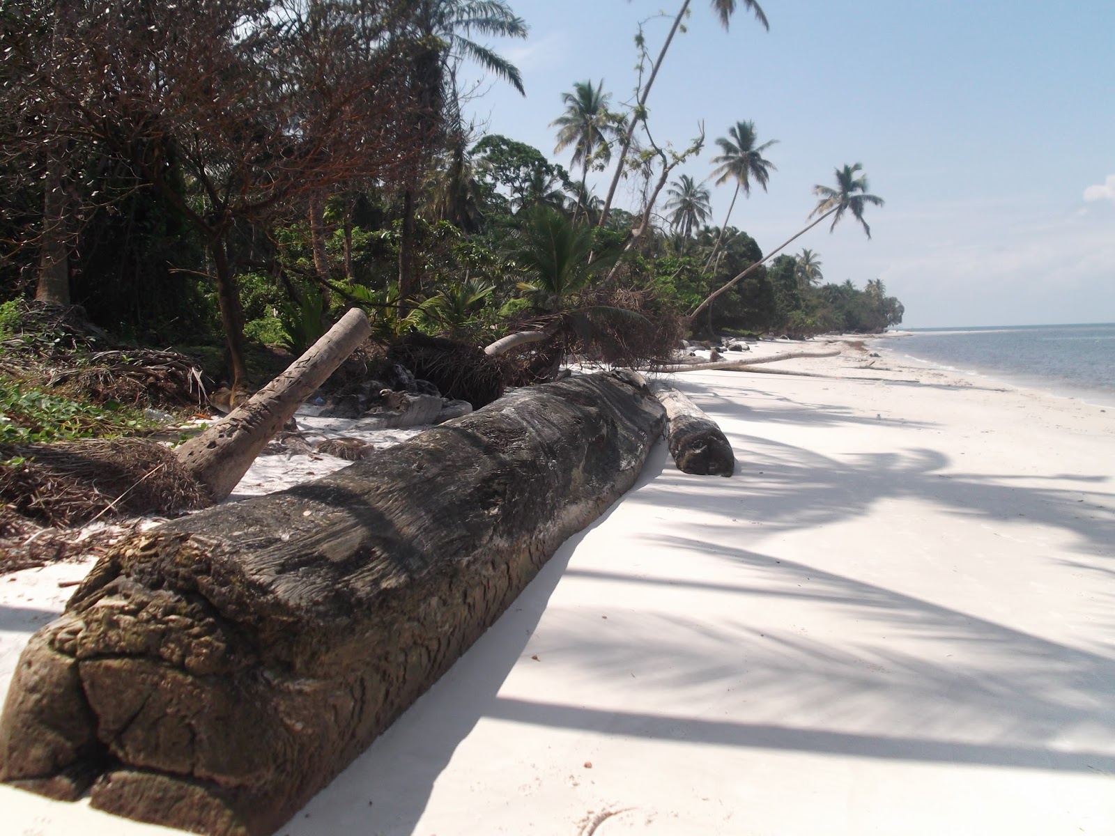 Islas del Mundo Corisco