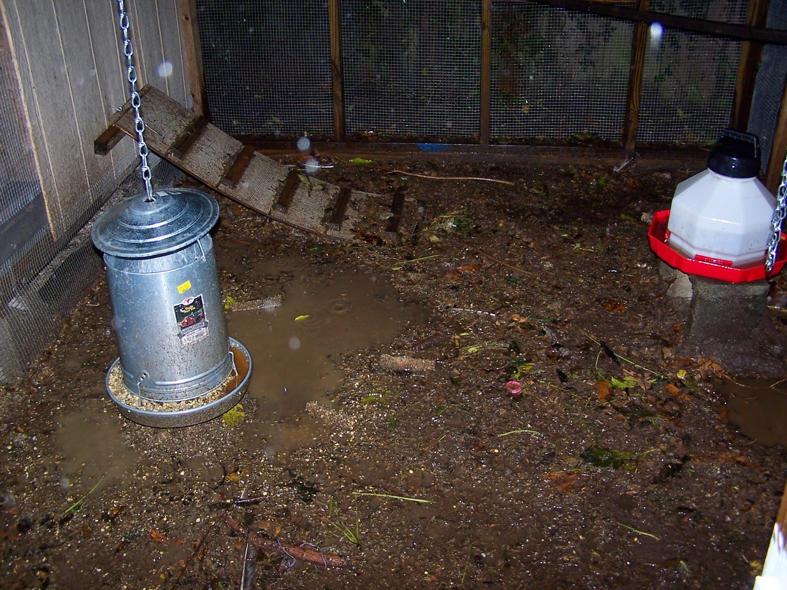 Pets with Benefits Springtime in Ohio, what a muddy mess!
