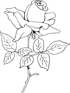 Roses Flower Coloring Pages