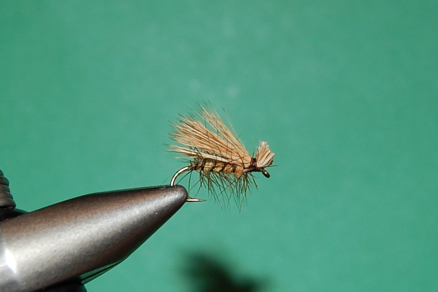 Ralph S Fly Box Tying The Elk Hair Caddis Lite