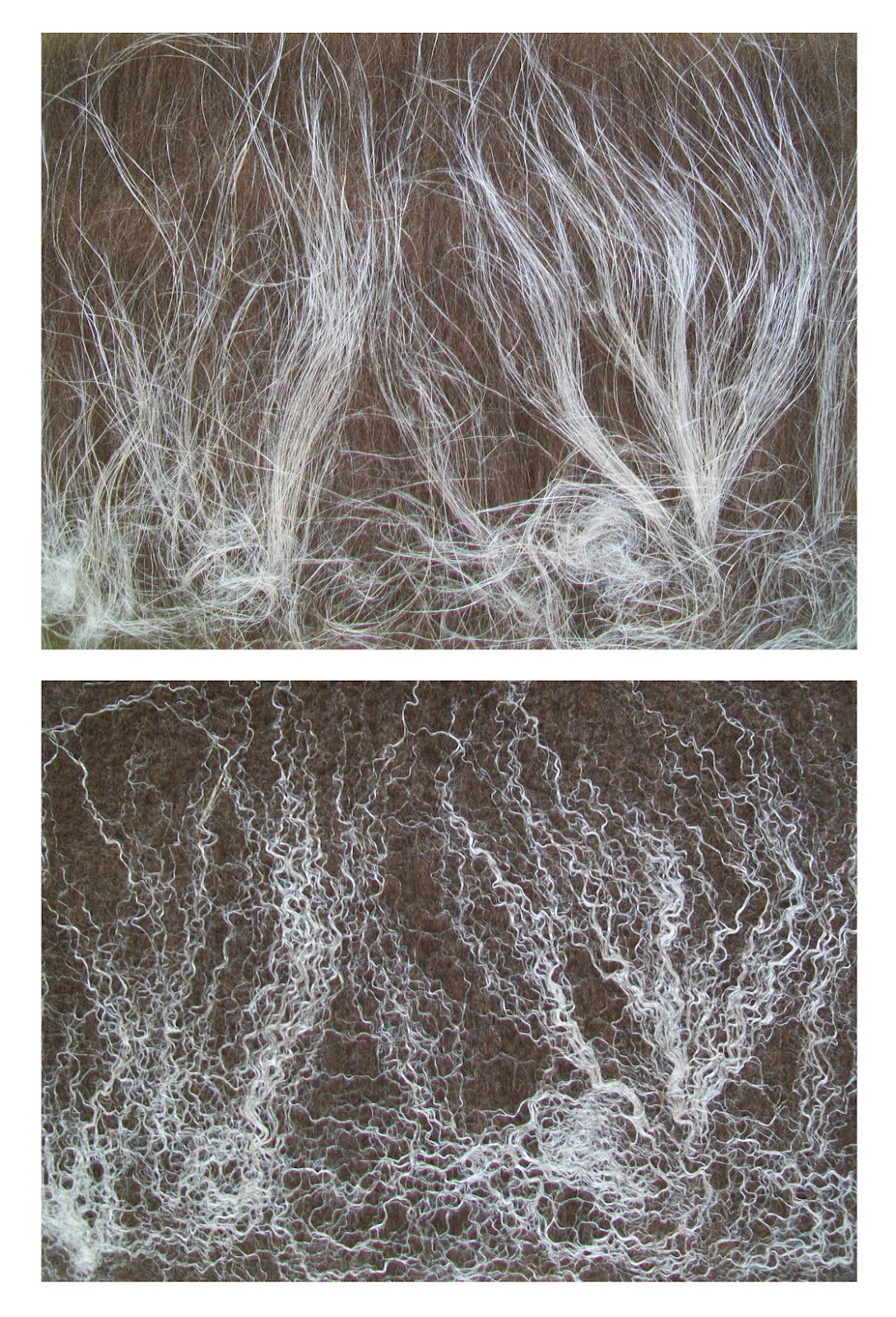 Drying Flax