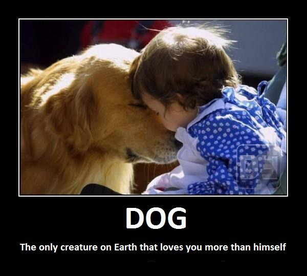 Dog - The Only Creature On Earth That Loves You More Than Himself