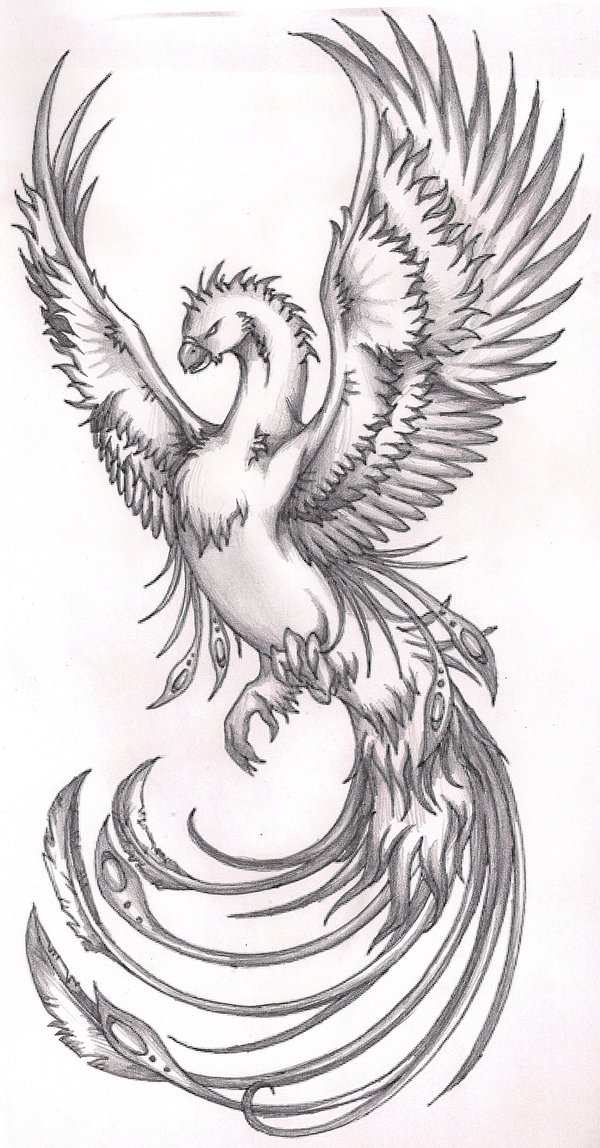 phoenix tattoo meaning phoenix tattoo phoenix tattoo raleigh phoenix 