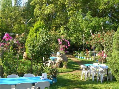 Degirmen Selale Restaurant Nikah Sonrasi Yemegi Izmir