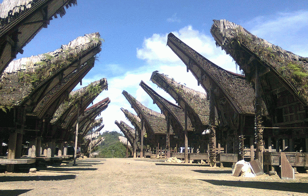 The Toraja Of Sulawesi Indonesia