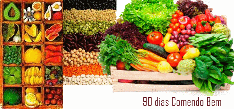 90 dias 90 receitas - Alimentação Vegetariana