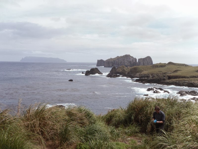 Murray & Candace's Adventures A Trip to Nightingale Island...