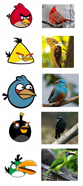  yang penting tetep ngerti kabar gt aja  Model Burung Angry Birds Di Dunia Nyata