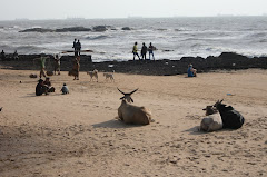 Anjuna Beach