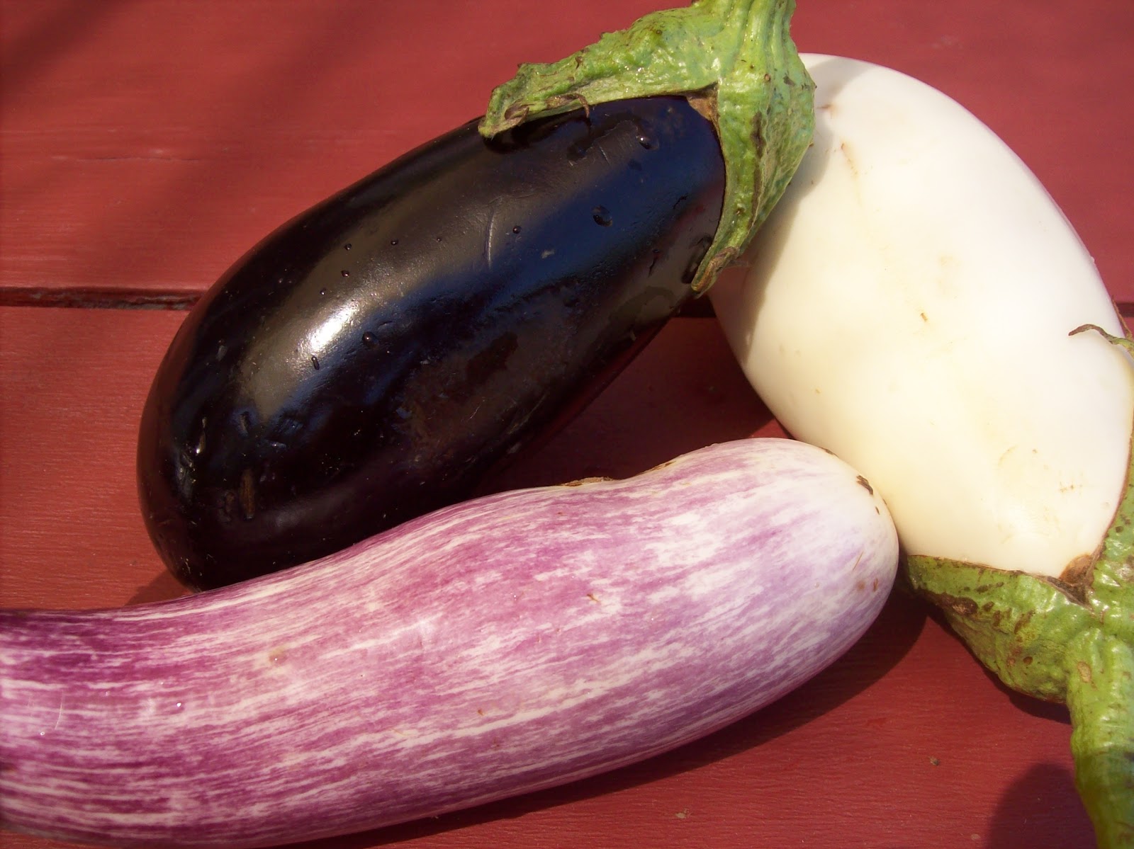 Napa Farmhouse 1885™ roasted eggplant & peppers dip