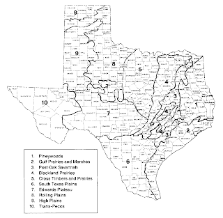 Texas Cities Map Poster