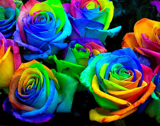 1650629_121114091007_Rainbow-Roses.jpg
