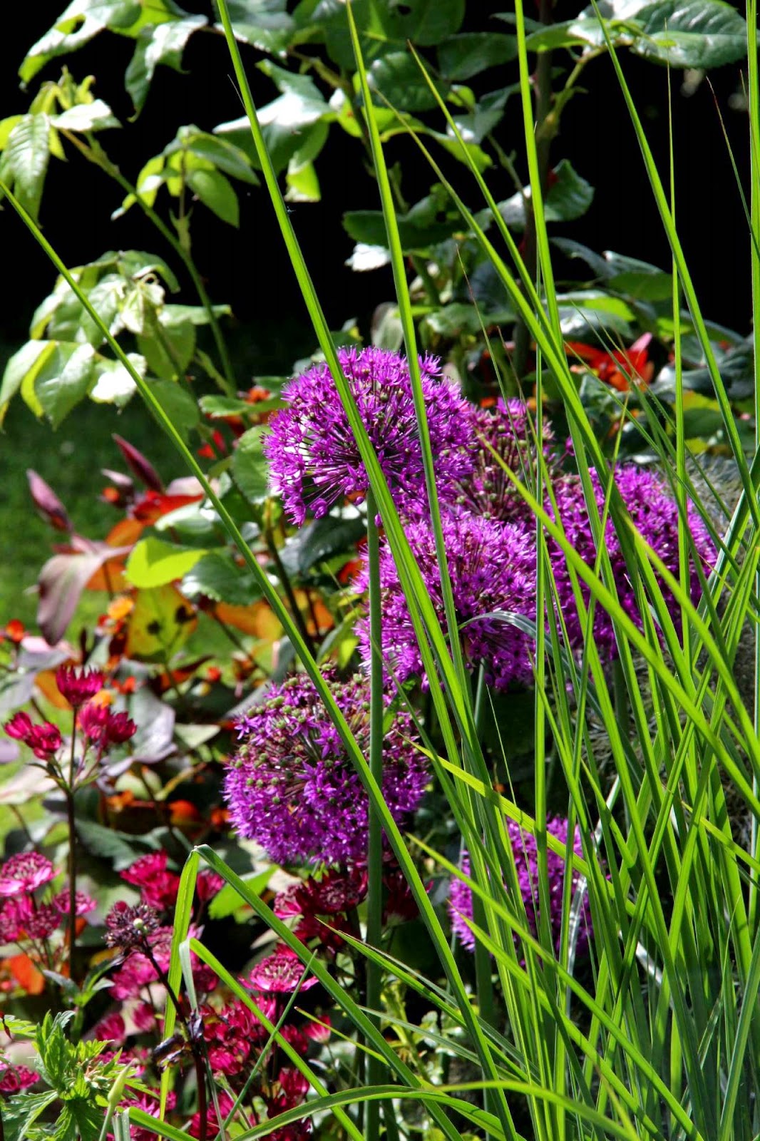 Top 10 Most Popular Rhododendron Rhododendron Brands And Get Free