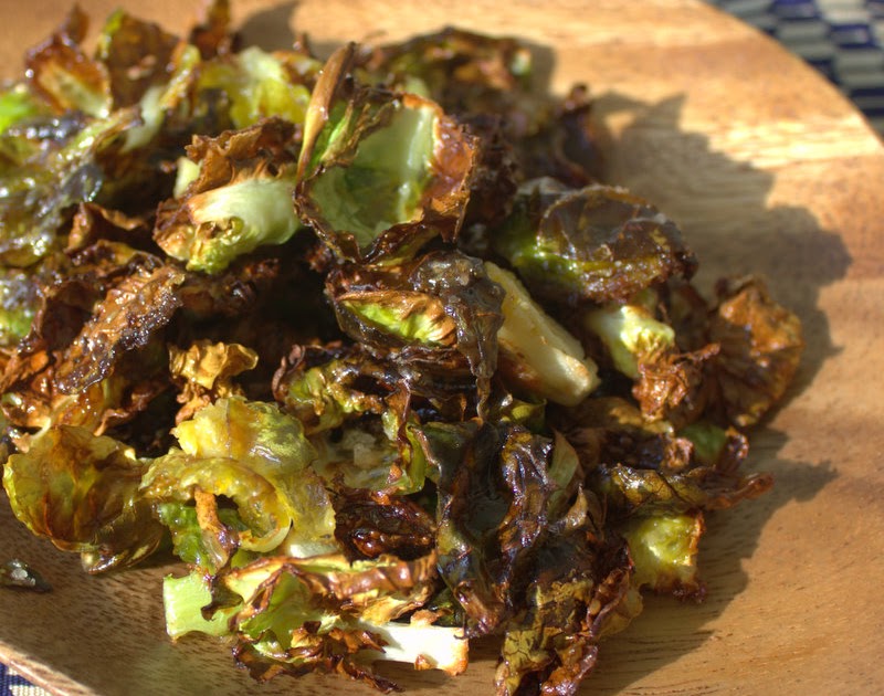 Brussel Sprouts Good For Dogs Brussel Sprouts Good For Dogs