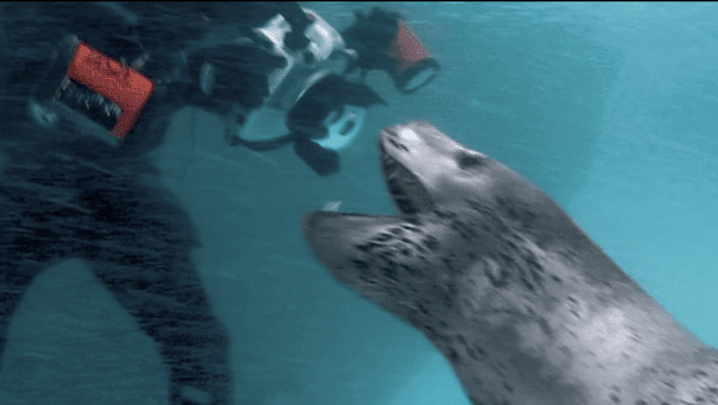 Nag on the Lake: An Amazing Story About Animal-Human Caring!