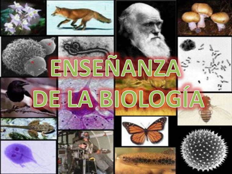 ENSEÑANZA DE LA BIOLOGÌA