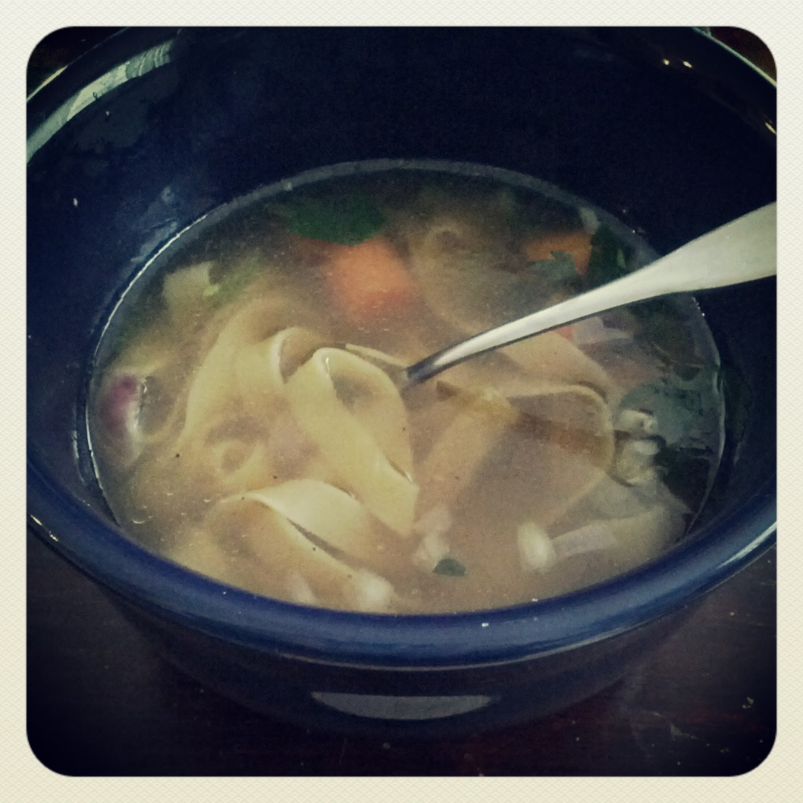 A Series of Fortunate Events Homemade Chicken Soup for Sick People
