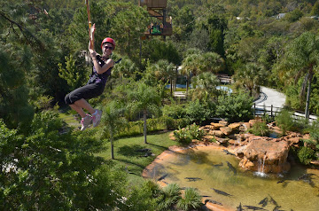 Gatorland, Florida