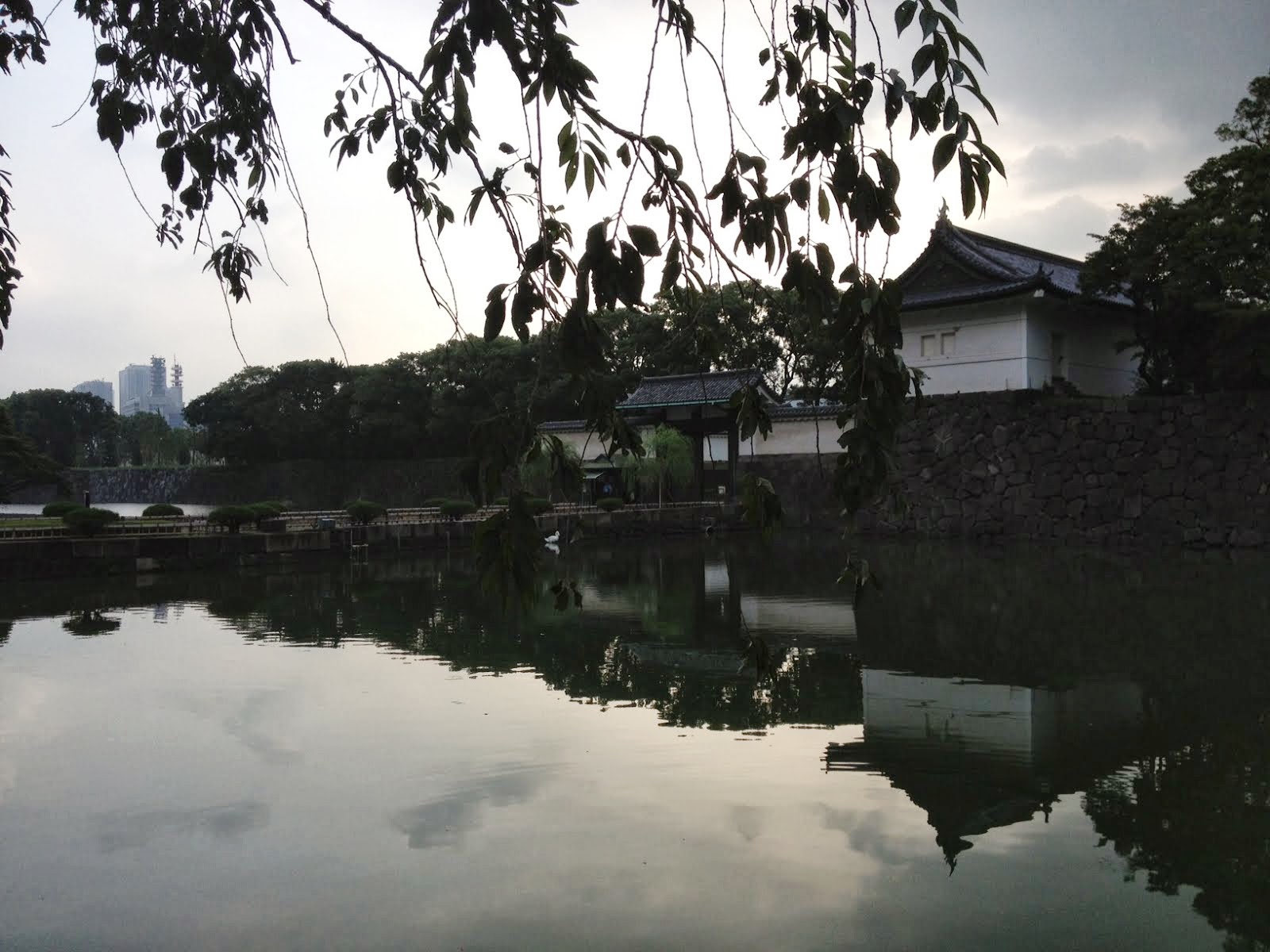 愛に恋 Eishin Blog 皇居お堀半周 大手門