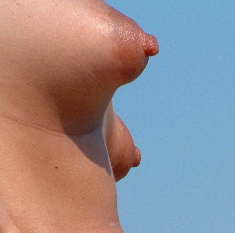 Puffy Nipples Close Up