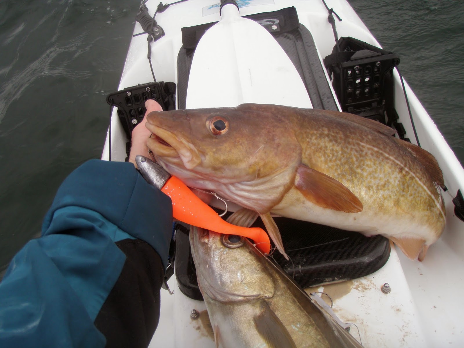 Central Coast Kayak Fishing - Just a couple of ways to rig for