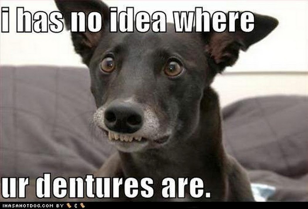 Chuck's Fun Page 2 Dogs get equal time