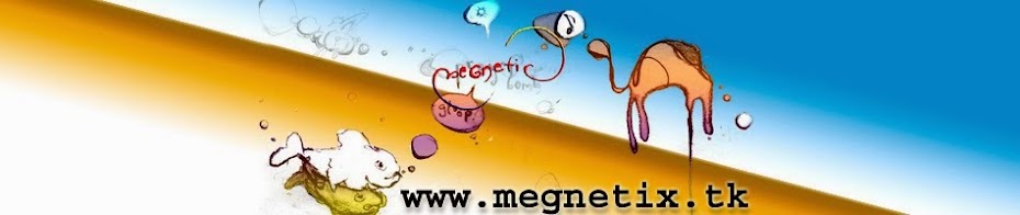 megnetix