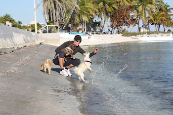 Poco, Taz, Gizmo & Ma in the Ocean