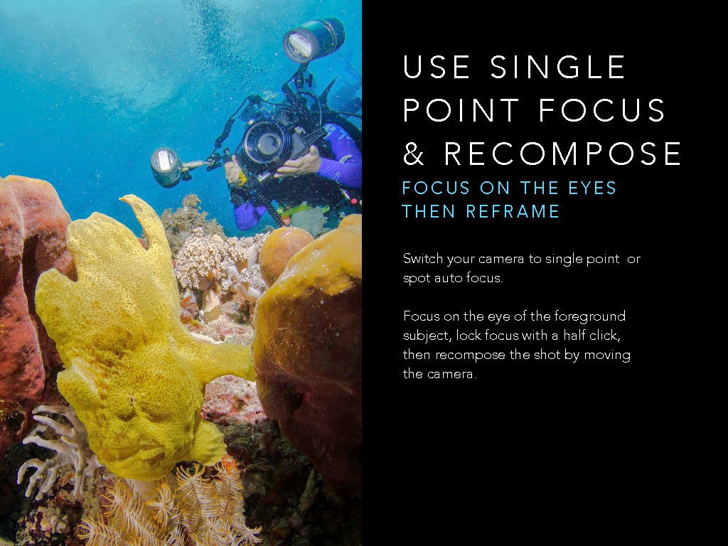 Optical Ocean Above and Below. New Handbooks Guides to Better