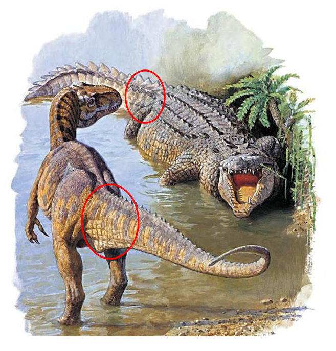 ART Evolved: Life's Time Capsule: Scott Person on recreating Theropods