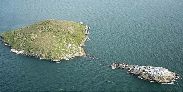 What Appears To Be A Pile Of Trash Floating In The Ocean Is Much, Much More Than That. Wow. What Appears To Be A Pile Of Trash Floating In The Ocean Is Much, Much More Than That. Wow.