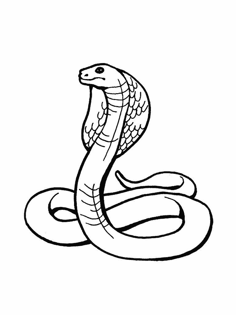Snake Coloring Pages Free For Children