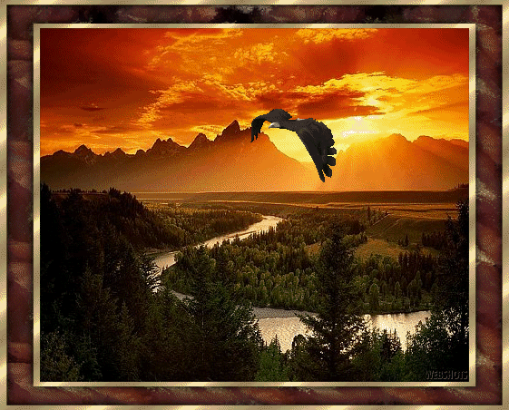 resim kutupanesi blogger