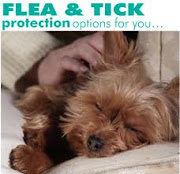 BOOK : How To Protect Your Pet From Fleas