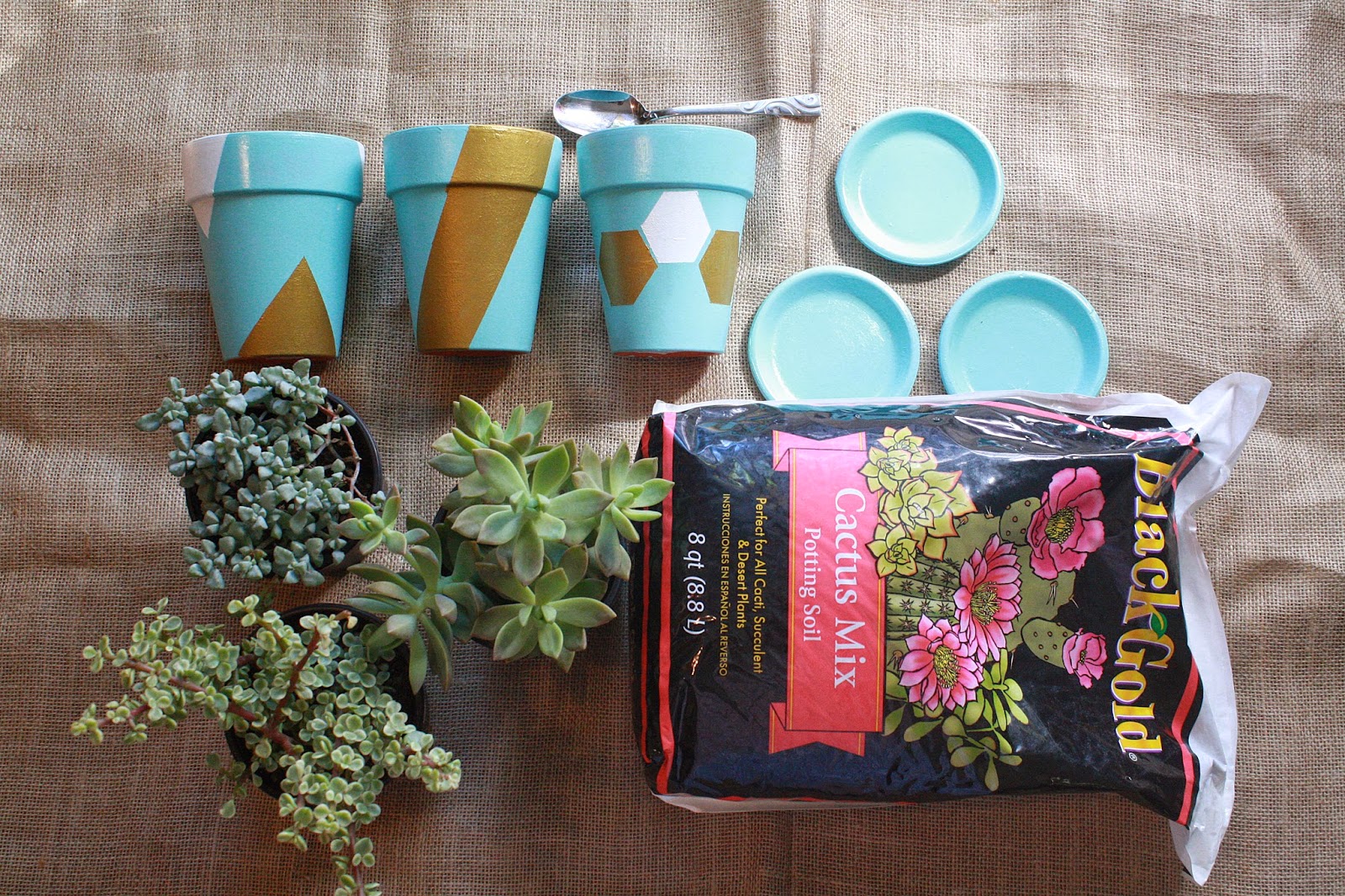 Juneberry Lane Tutorial Tuesday DIY Succulent Painted Pots