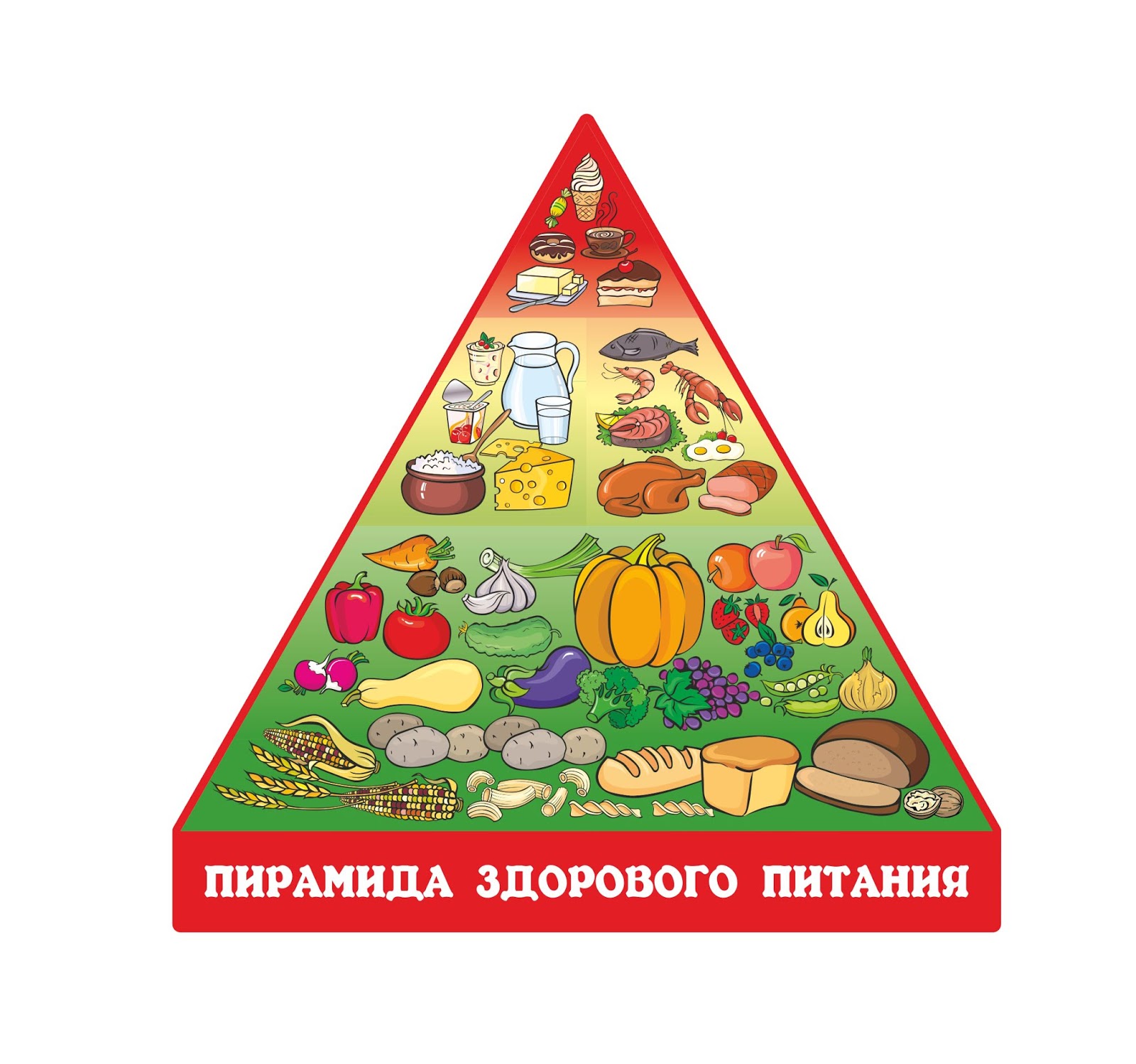 Пирамида Правильного Питания