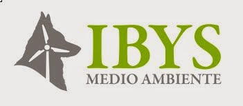 CONSULTORA AMBIENTAL