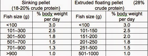 Catfish Growth Rate Chart
