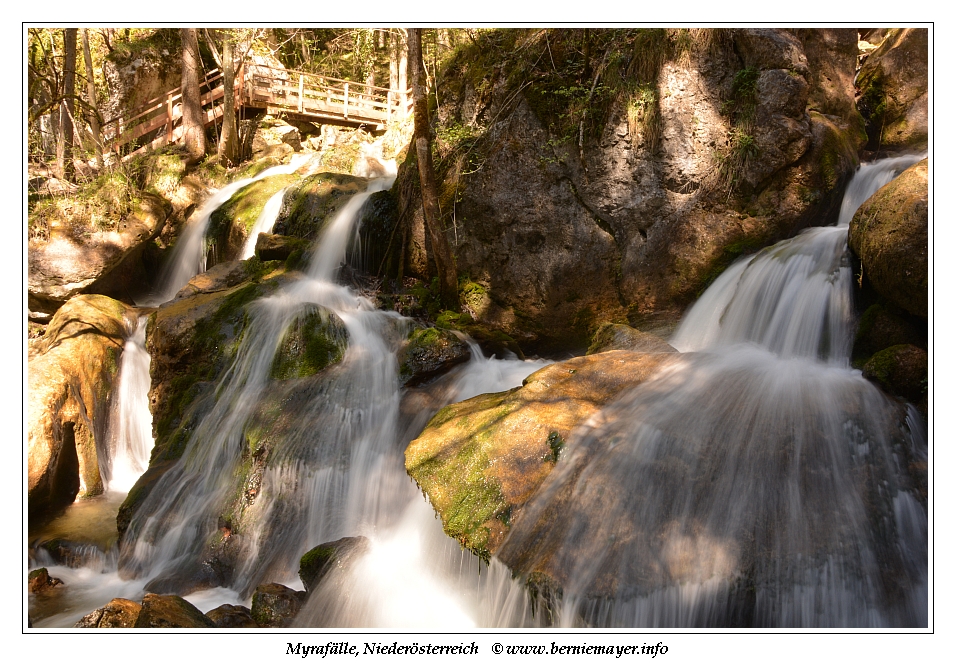 Programmheft Lange Nacht Der Kirchen Wien 2016 By Lange Nacht