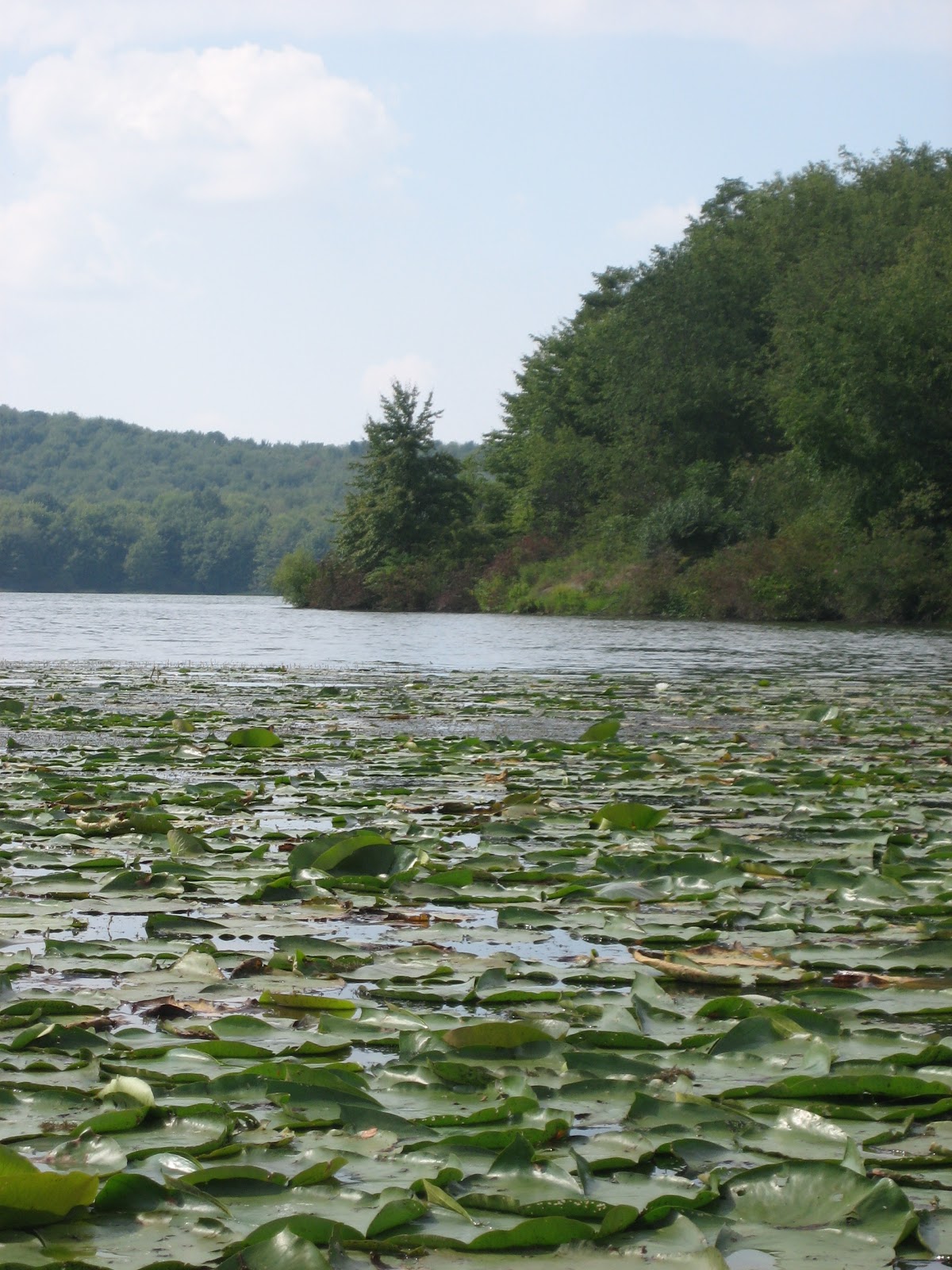 Pittsburgh's Nuances Lake Arthur, Moraine State Park 422 Boat Launch