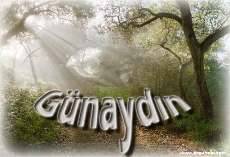 Resmi göster Resim görüntüleyici