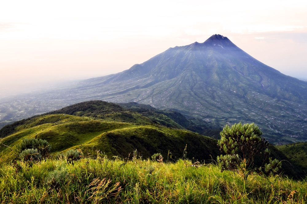 Savannah on Merbabu Mt