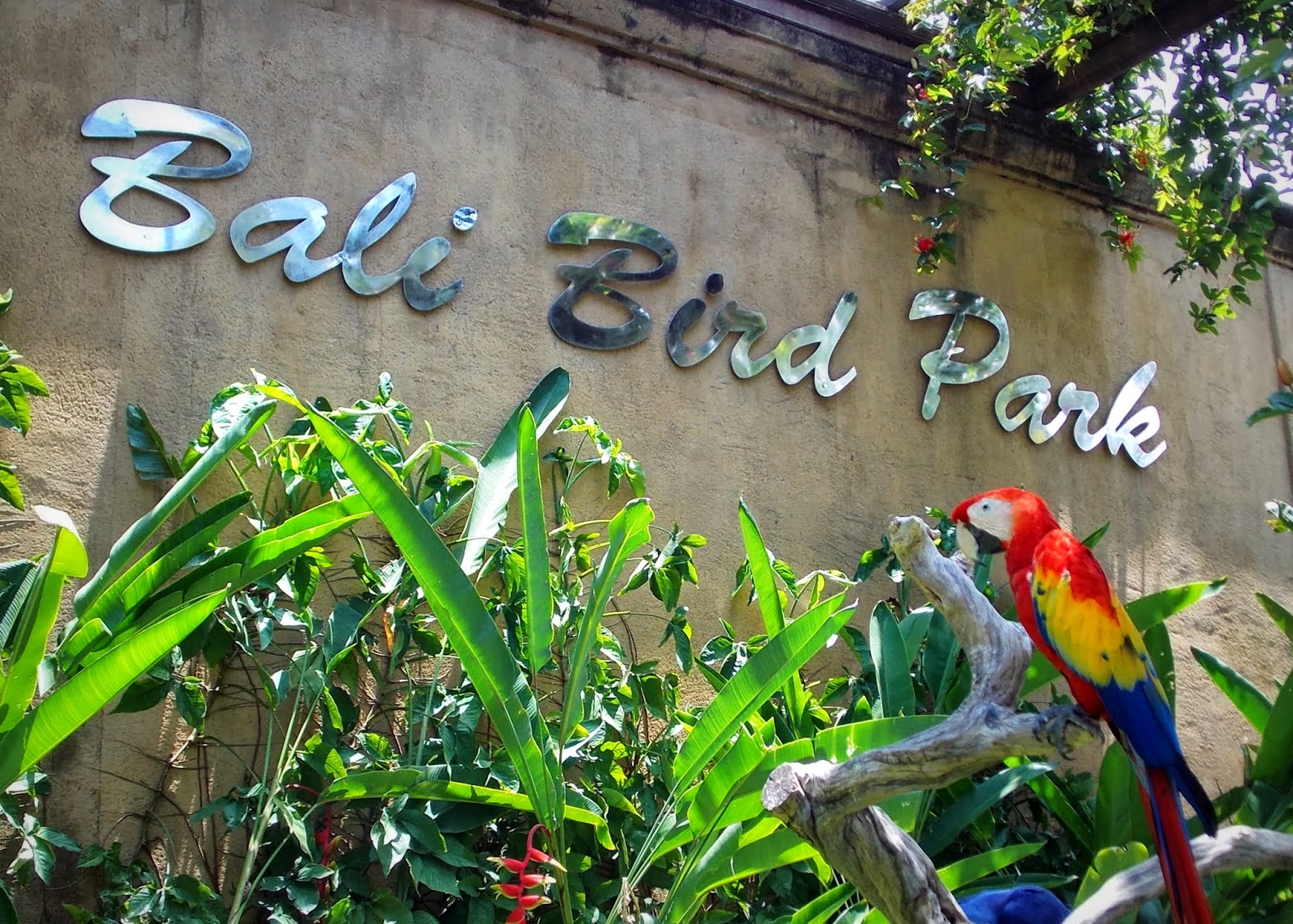 The Cultivated Mother Bali Bird Park