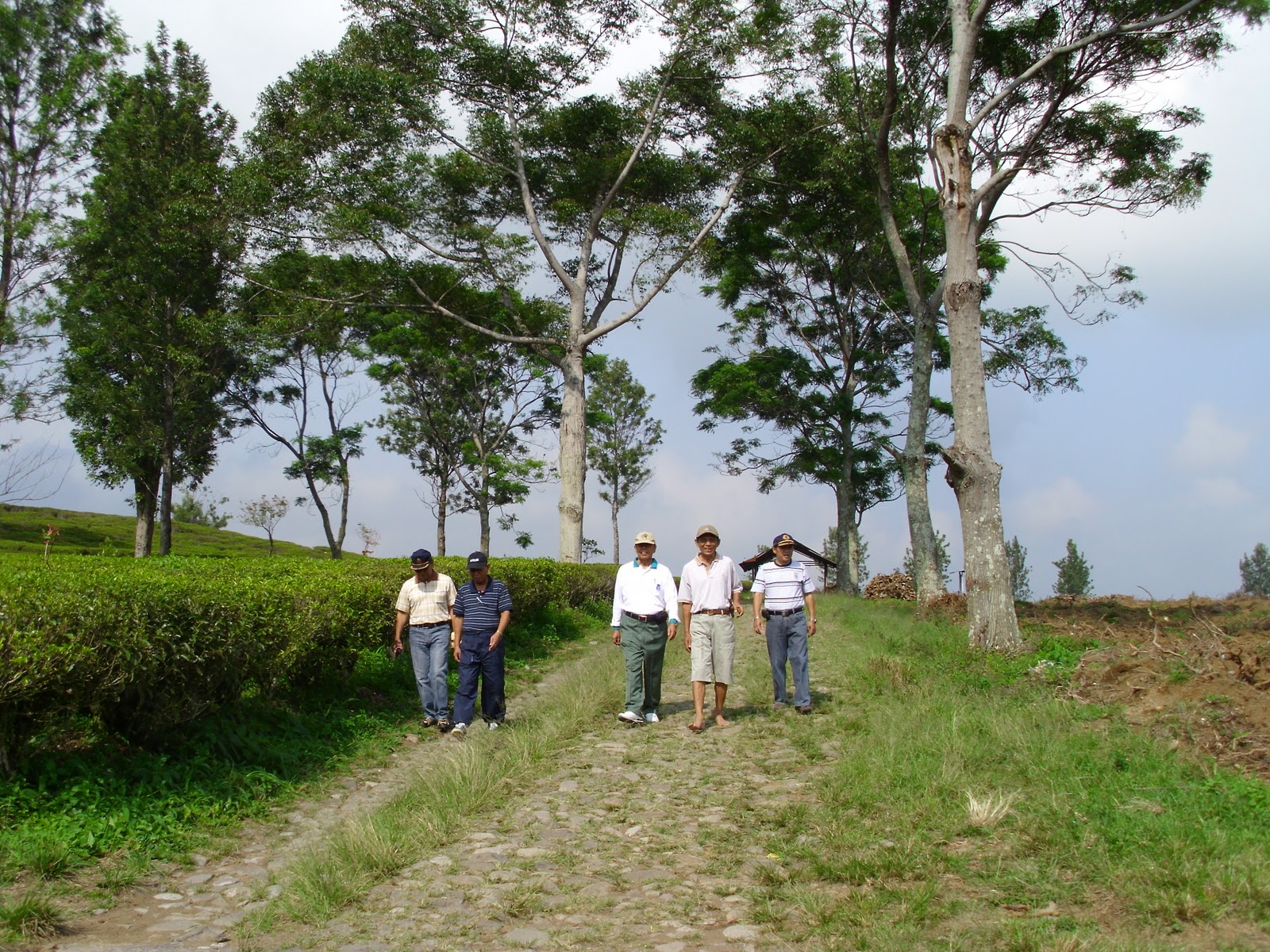 isamas54 Wisata Bogor (1) Wisata Agro Gunung Mas Puncak