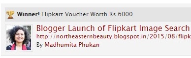 Winner for Blog post on Flipkart Image Search Functionality