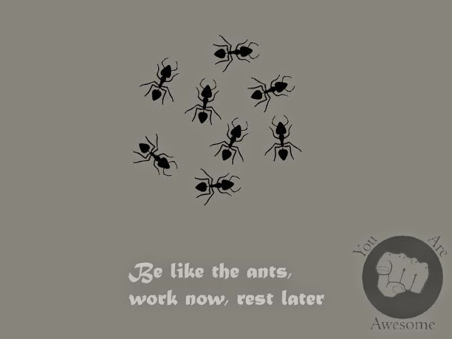 Be like the ants, work now, rest later.