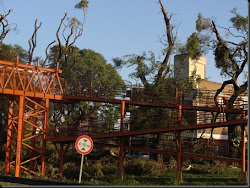 Storm Damage in Buenos Aires