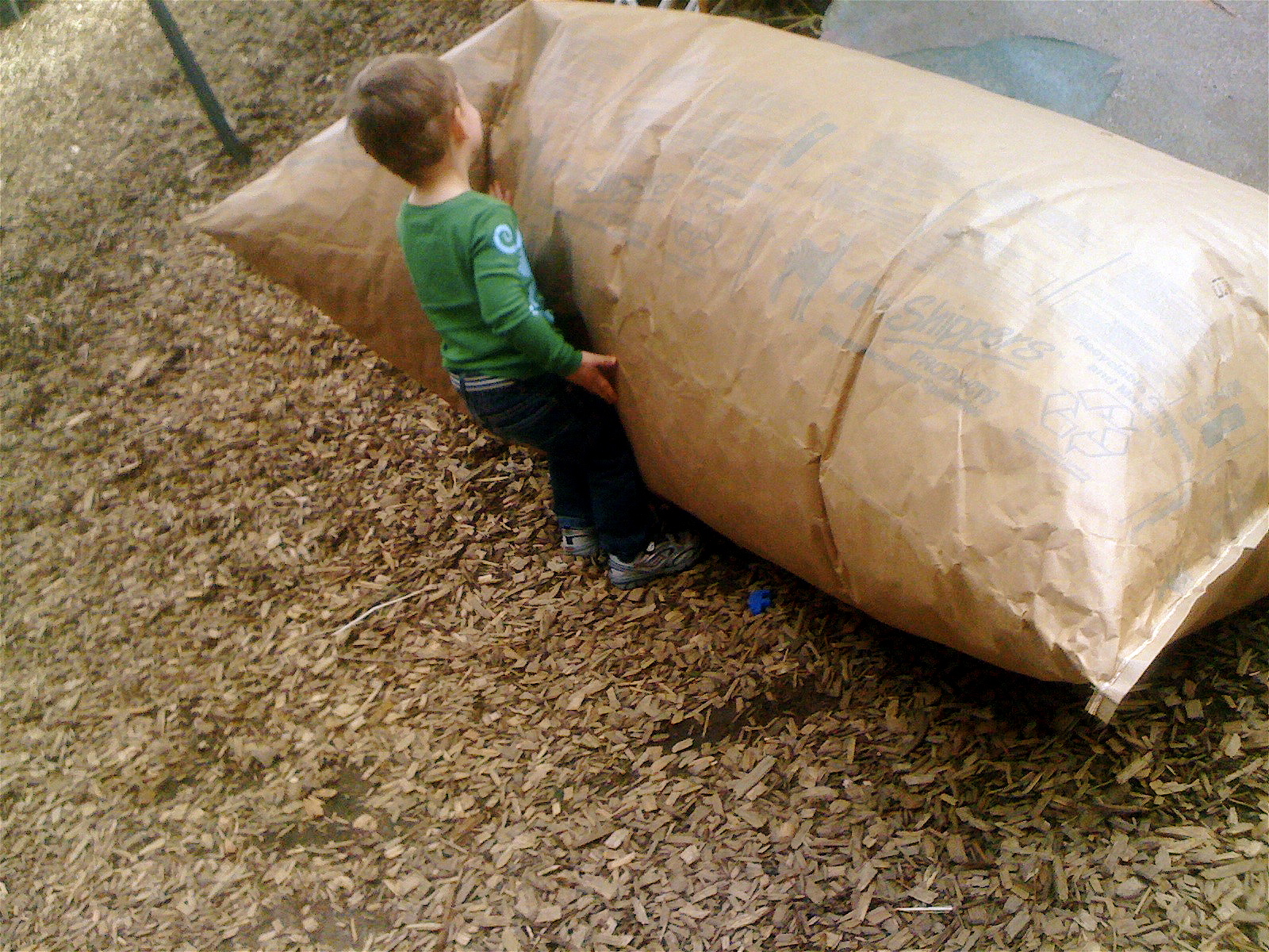 Teacher Tom The Giant Pillow!