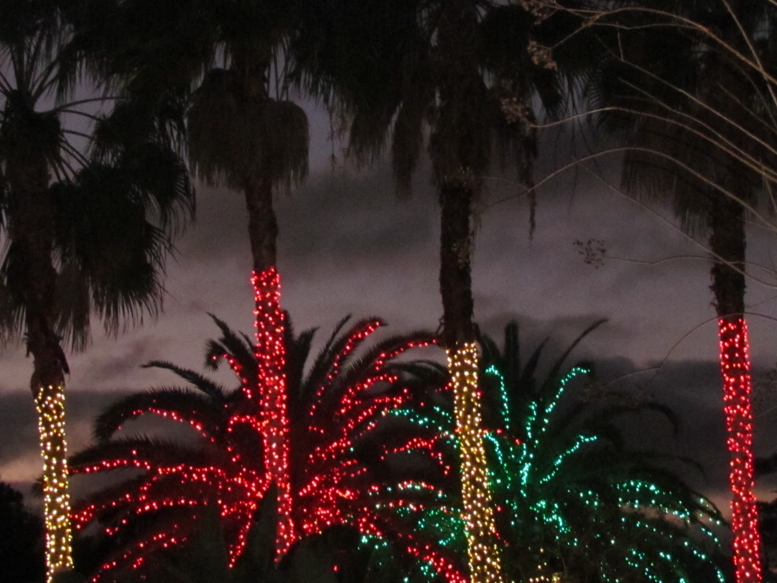 A Little Peace in our Heaven Holiday Lights at Florida Botanical Gardens
