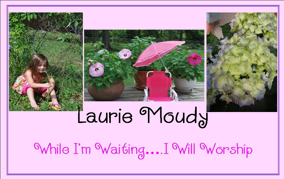 Laurie Moudy